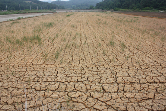 예고 없는 돌발가뭄 대비해야 한다.